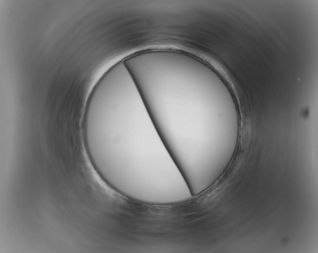 X0000112790951200908210935