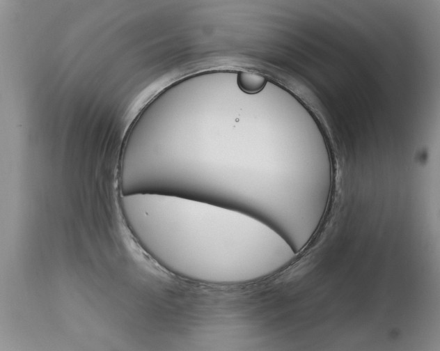 X0000112790954200908210935