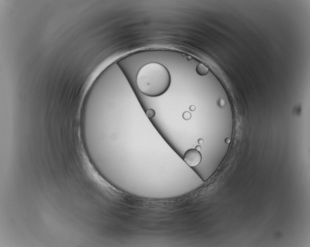 X0000112790955200908210935