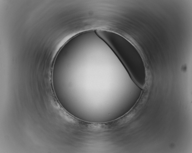 X0000112790956200908210935