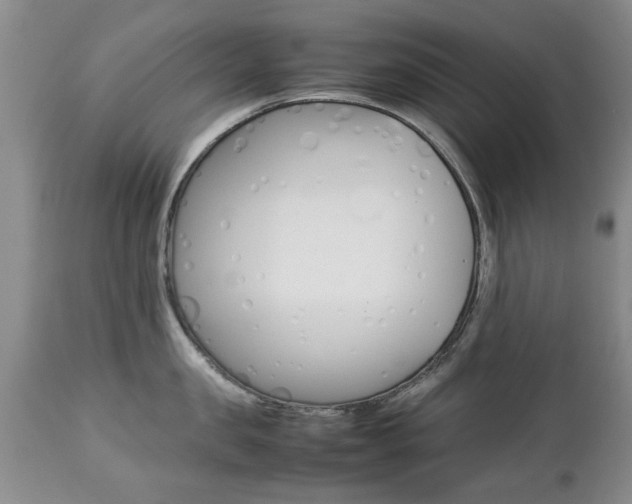 X0000112790957200908210935