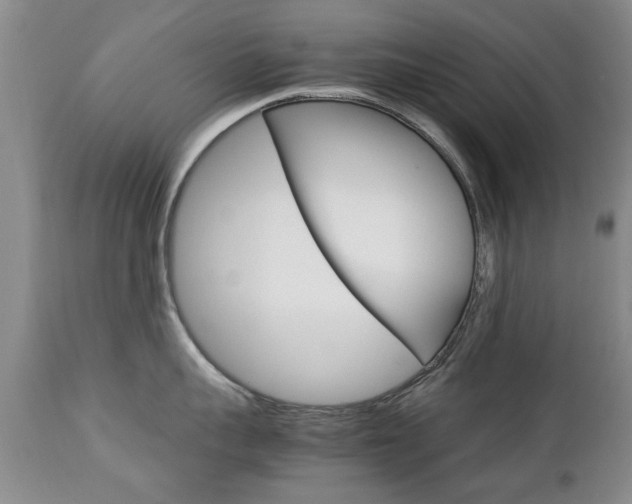 X0000112790959200908210935