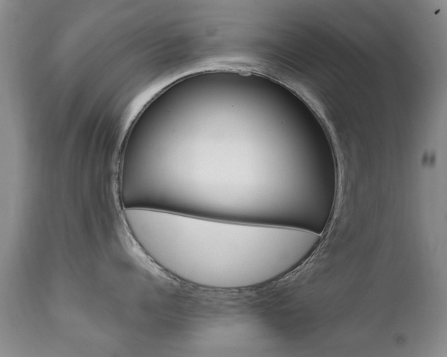 X0000112790960200908210935