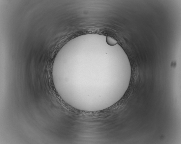 X0000112790962200908210934