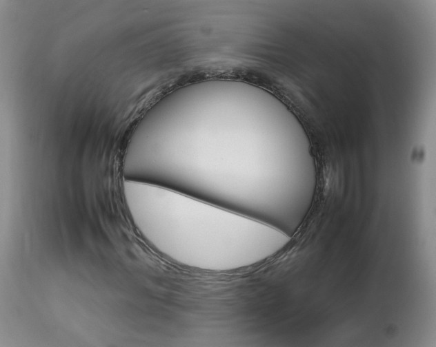 X0000112790964200908210934