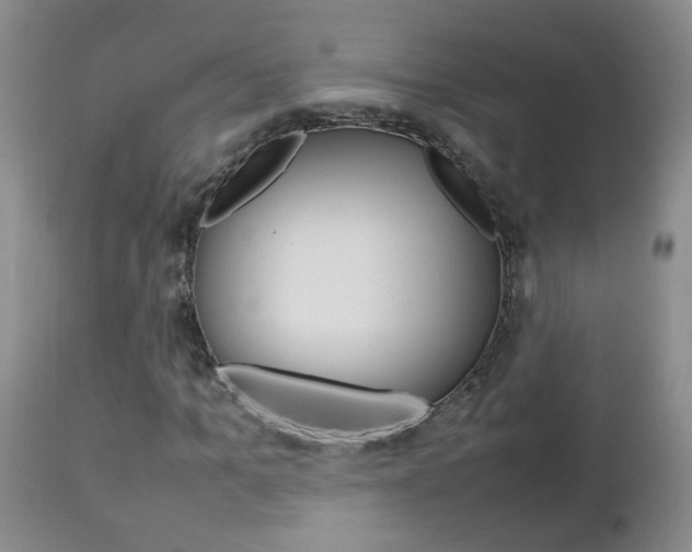 X0000112790965200908210934