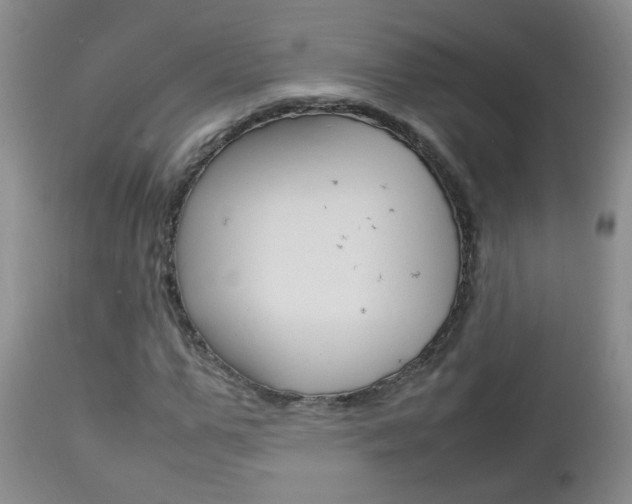 X0000112790967200908210934