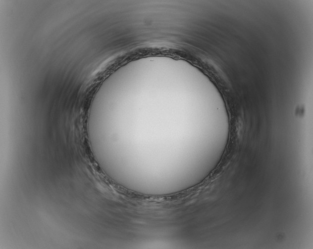 X0000112790968200908210934