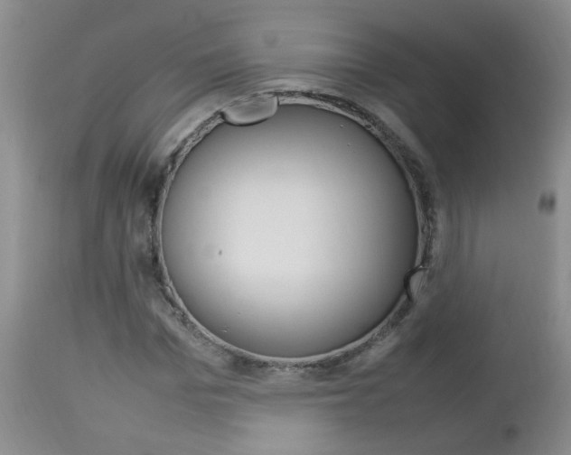 X0000112790969200908210934