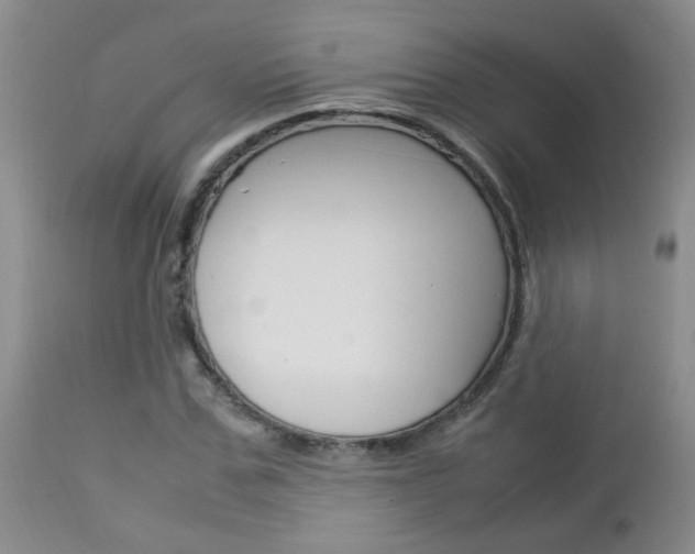X0000112790971200908210934
