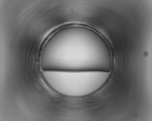 X0000112790972200908210934
