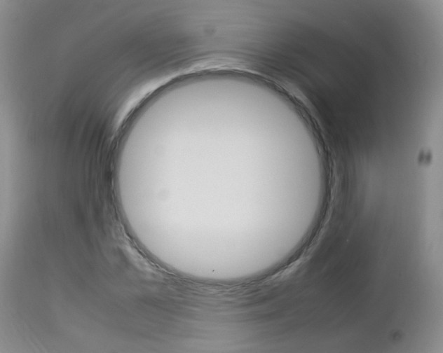 X0000112790973200908210934