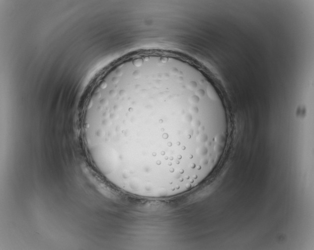 X0000112790974200908210934