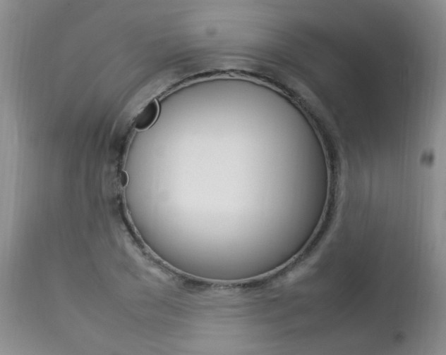 X0000112790977200908210934