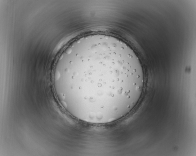 X0000112790978200908210934