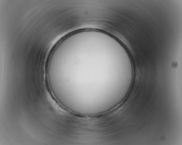 X0000112790980200908210934