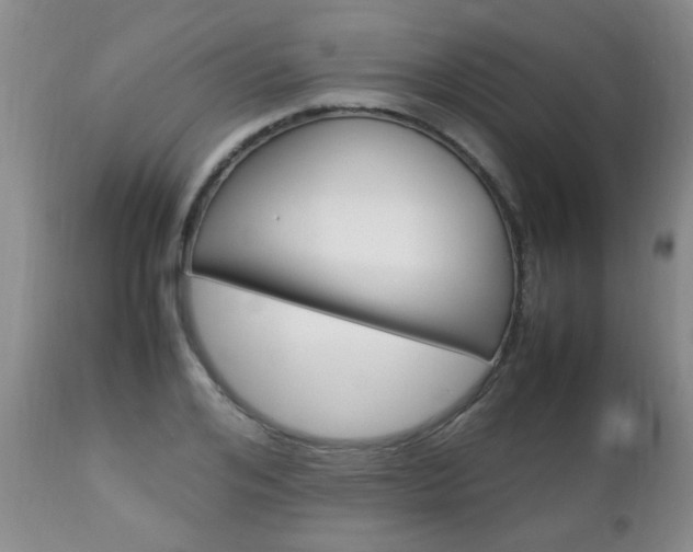 X0000112790984200908210934