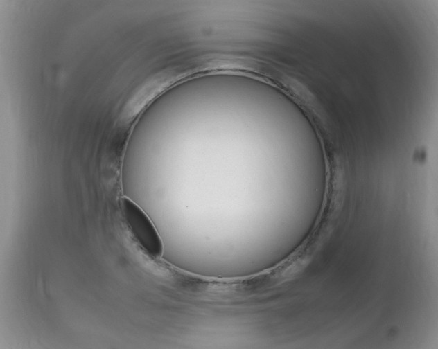 X0000112790985200908210934