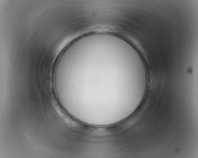 X0000112790986200908210934