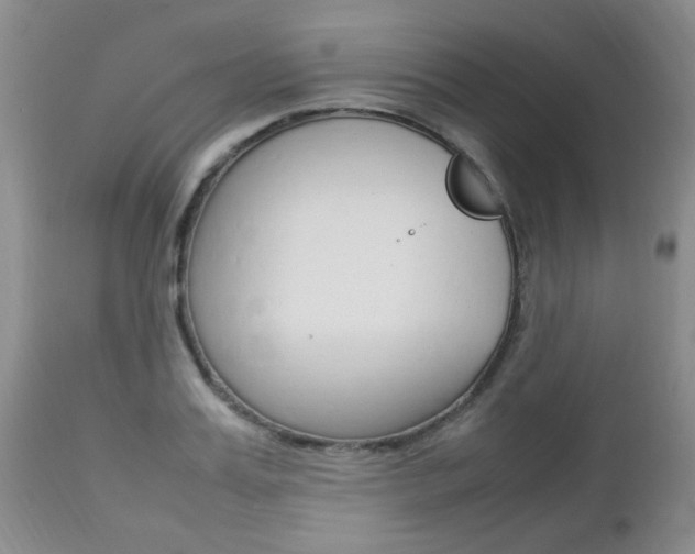 X0000112790987200908210934