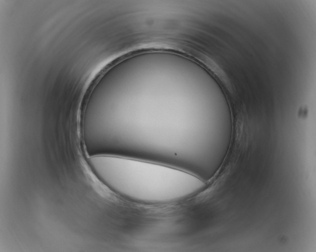 X0000112790988200908210934
