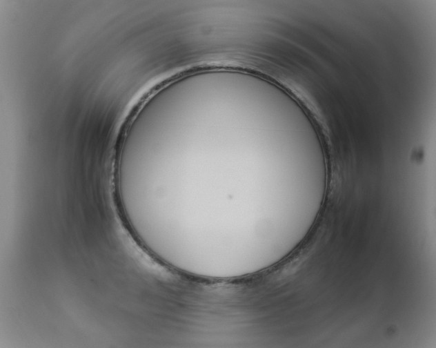 X0000112790992200908210934