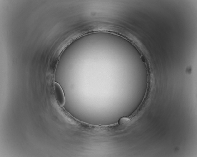 X0000112790993200908210934