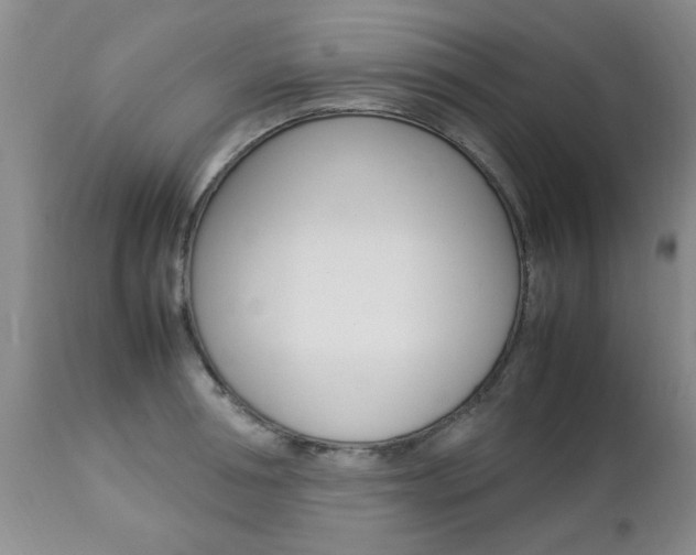 X0000112790994200908210934
