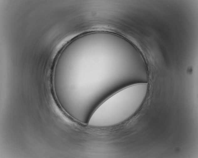 X0000112790995200908210934