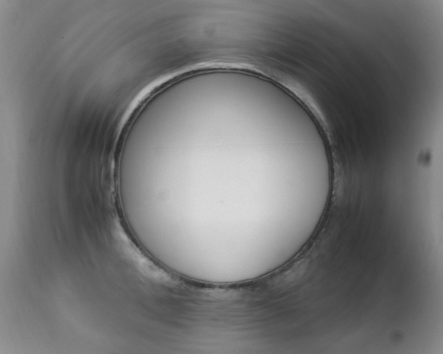 X0000112790996200908210934