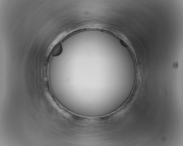 X0000112790997200908210934