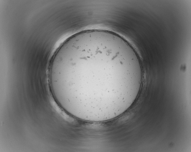 X0000112790998200908210934