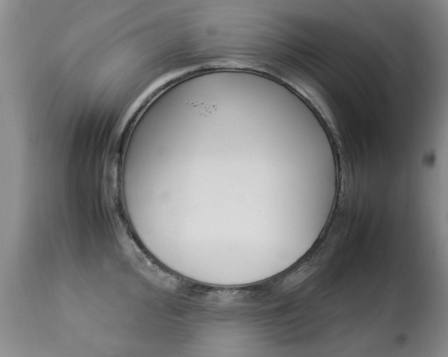 X0000112791000200908210934