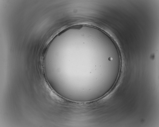 X0000112791001200908210934