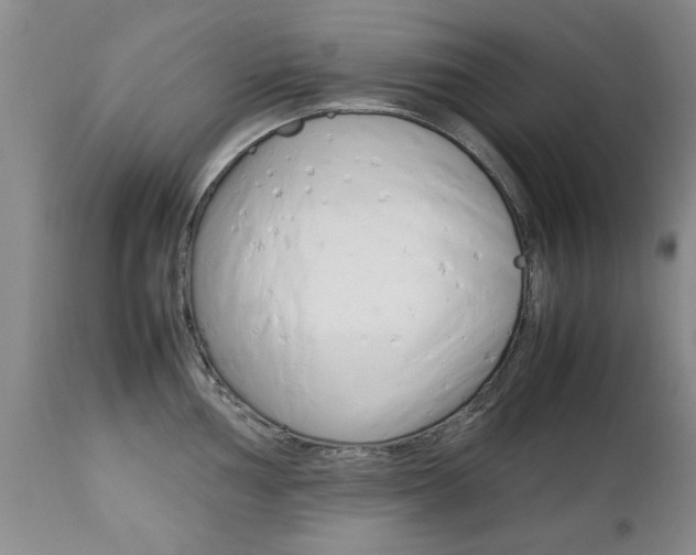 X0000112791002200908210934