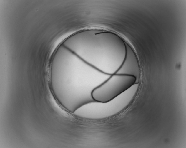 X0000112791003200908210934