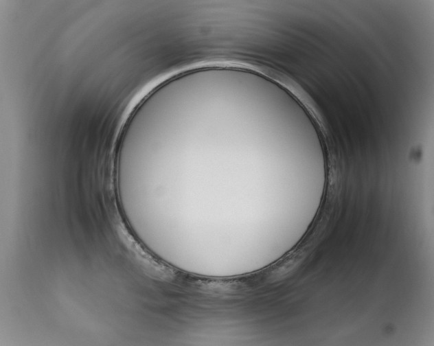 X0000112791004200908210934