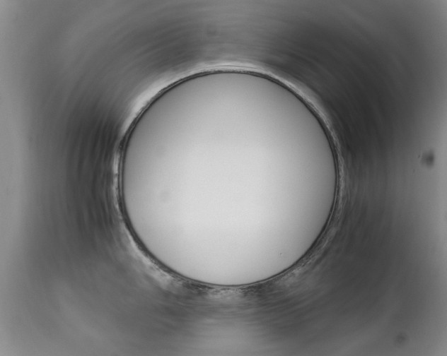 X0000112791006200908210934