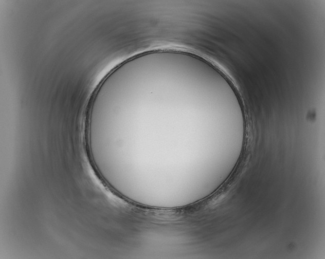 X0000112791007200908210934