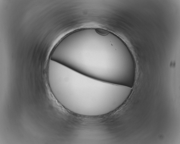 X0000112791008200908210934