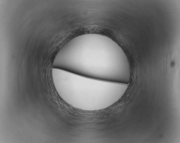 X0000112791010200908210933
