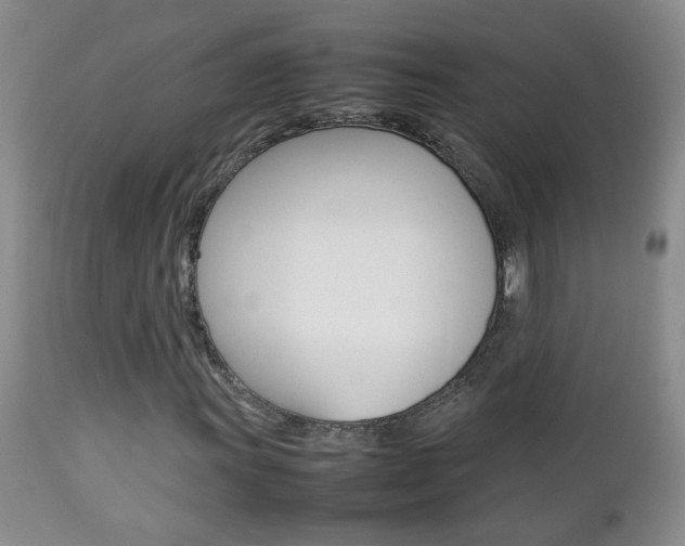X0000112791011200908210933