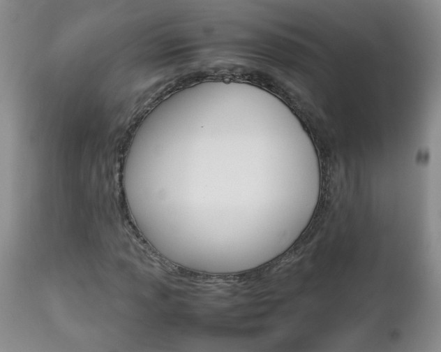 X0000112791013200908210933