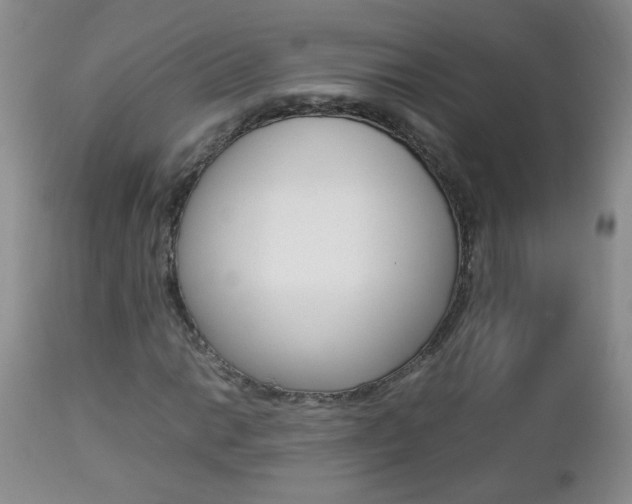X0000112791014200908210933