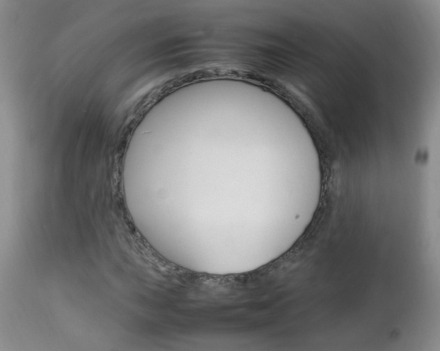 X0000112791015200908210933