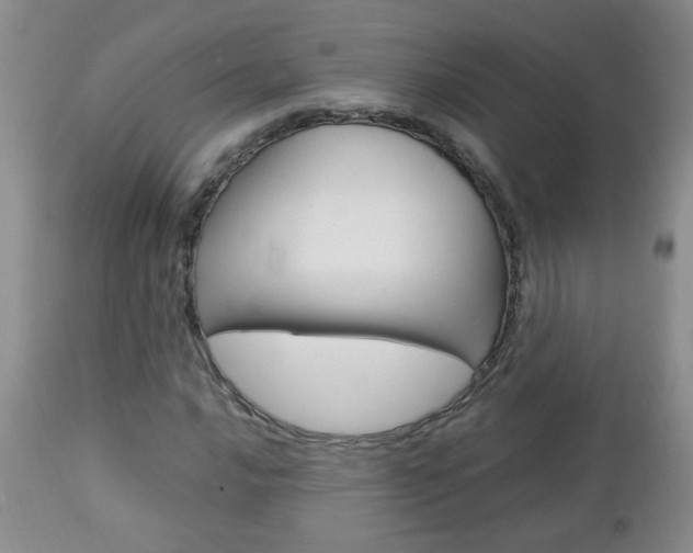 X0000112791016200908210933