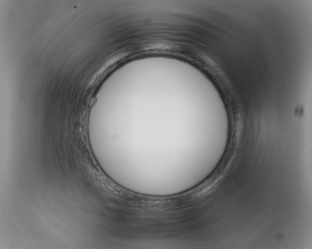 X0000112791017200908210933