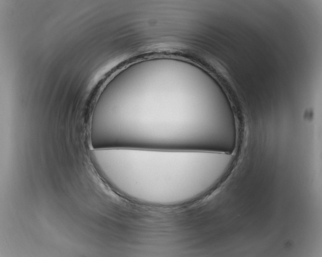 X0000112791018200908210933