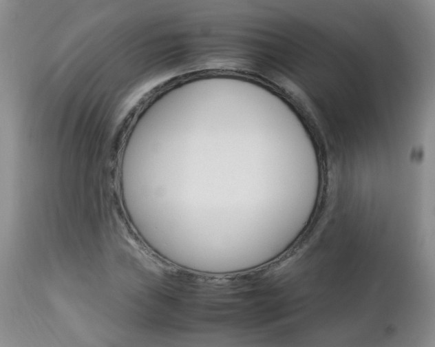 X0000112791019200908210933