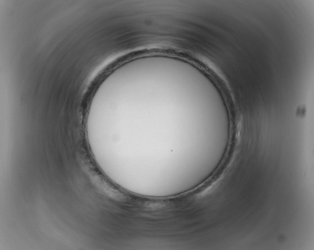 X0000112791021200908210933